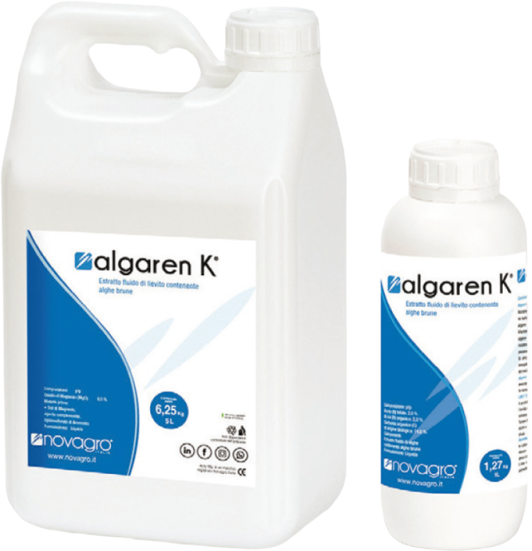Algaren K