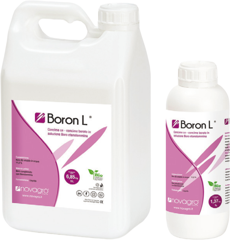 Boron