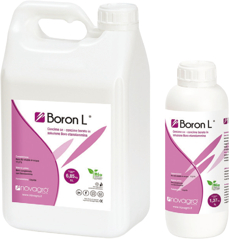 Boron
