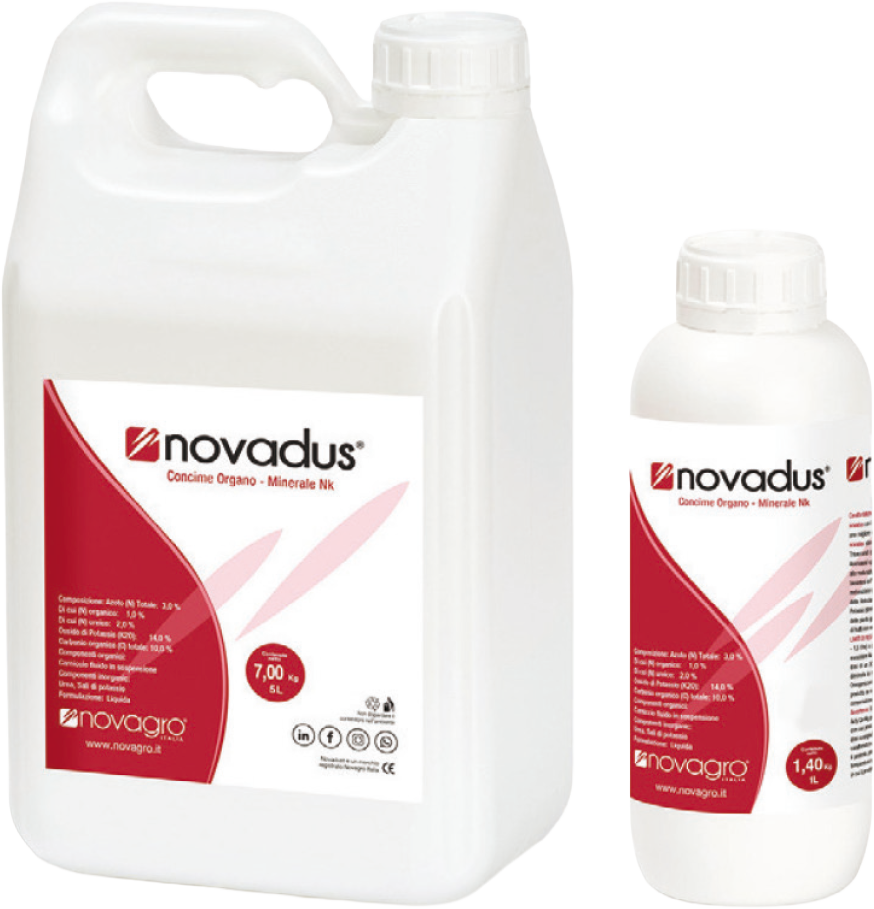 Novadus